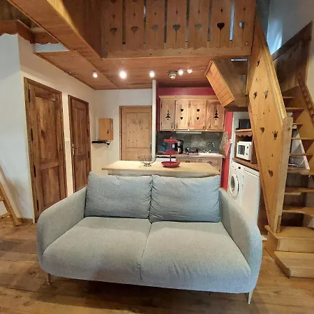 Duplex Montagne Avec Sauna, Wifi, Parking - Fr-1-516-147 Apartment *